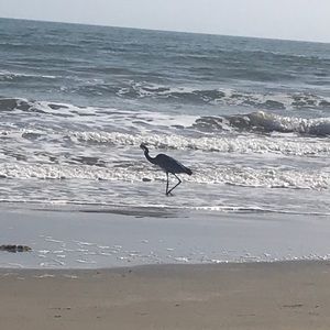 Meet your Posher, Mitzie